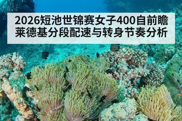2026短池世锦赛女子400自前瞻 莱德基分段配速与转身节奏分析
